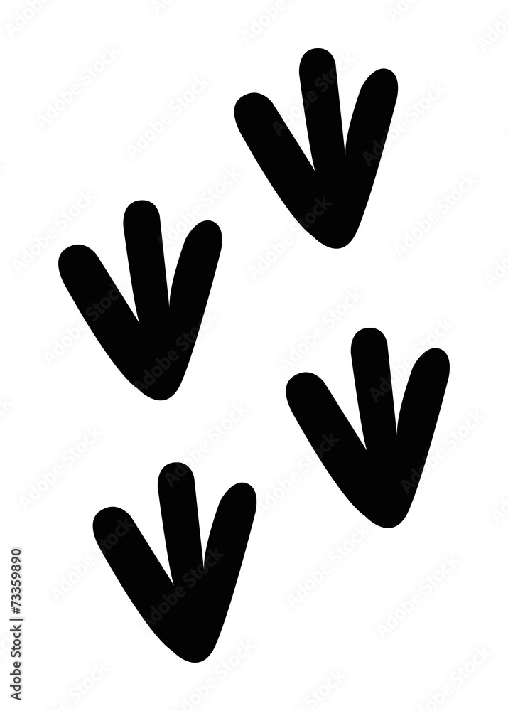 Obraz premium Chick Paws