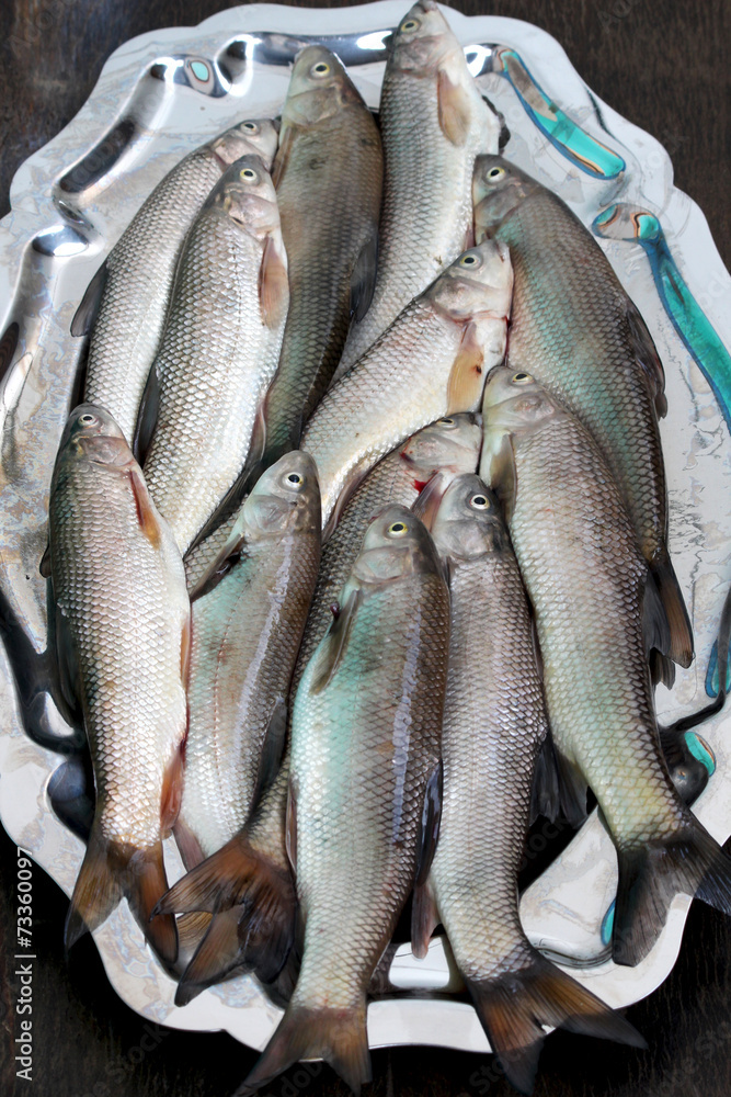 Obraz premium Fresh river fish