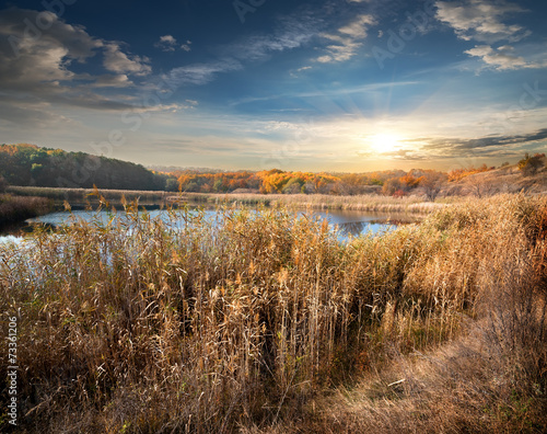 Reeds and lake