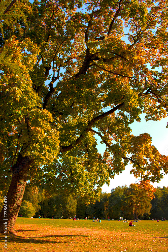 Naklejka premium Осень