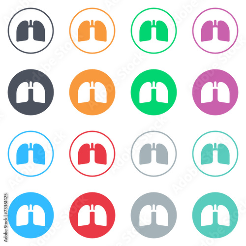 Vector flat iButtons