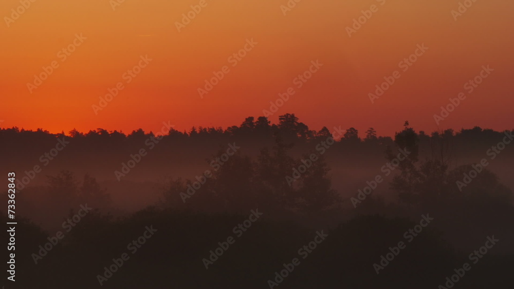 custom made wallpaper toronto digitalSunrise on foggy morning