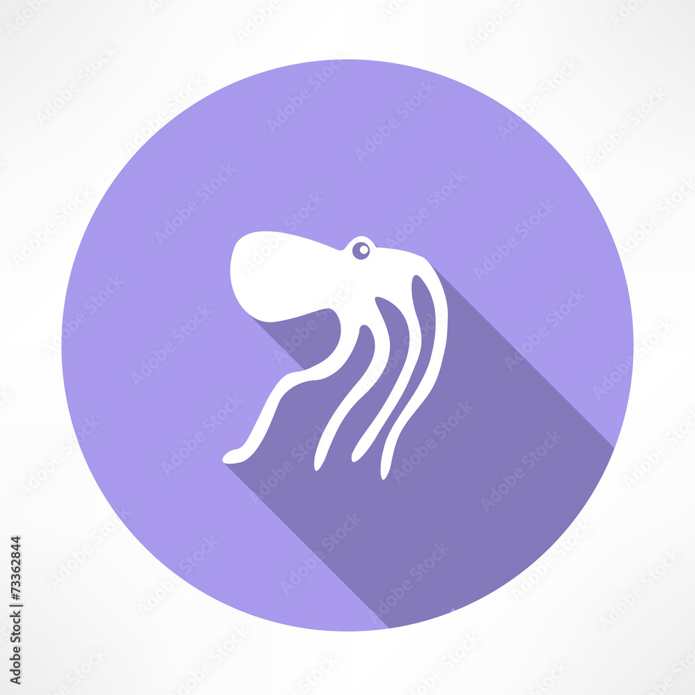 Octopus Octopus