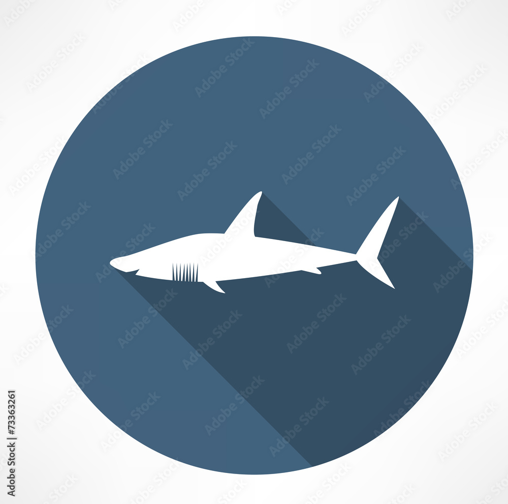 Shark Icon