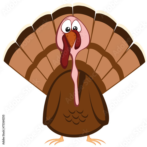 Funny turkeys