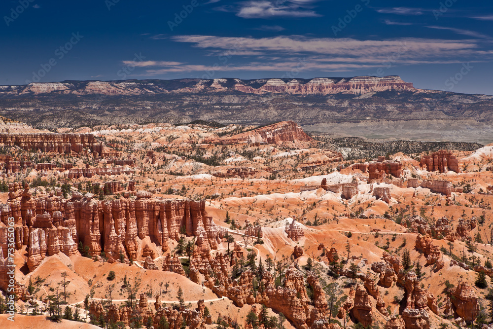 Fototapeta premium USA - Bryce canyon