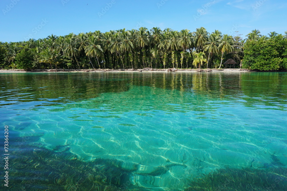 Tropical island shore with lush vegetation Panama