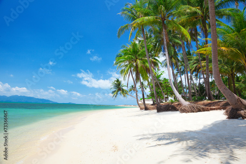 beautiful beach with coconut palm and sea