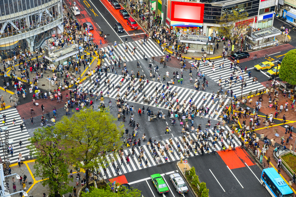 Fototapeta Shibuya, Tokyo, Japan at Shibuya Crossing
