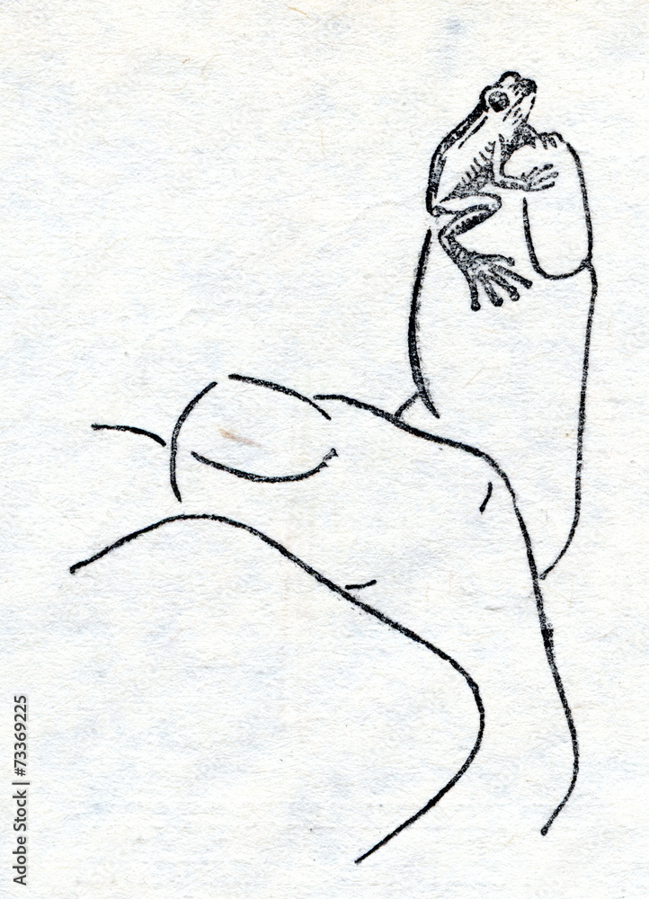 Fototapeta premium Monte Iberia eleuth (Eleutherodactylus iberia)