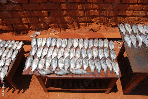 The market of the Village of Pomerini - Fish Market  - Tanzania photo