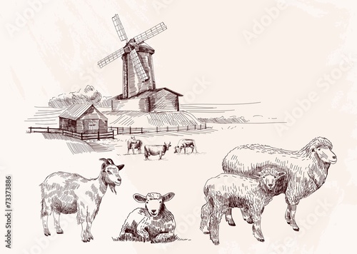 farm collection