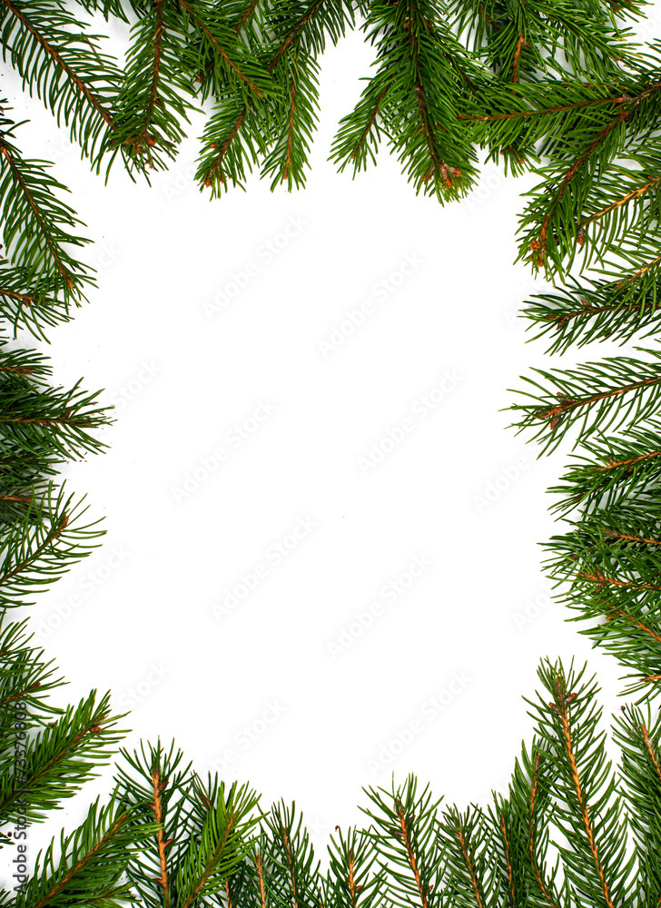 spruce twigs spruce twigs