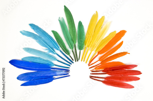 Colored Feathers Revised