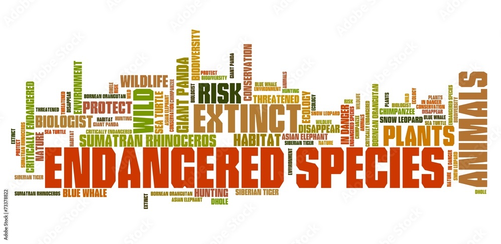 Endangered animals - tag cloud