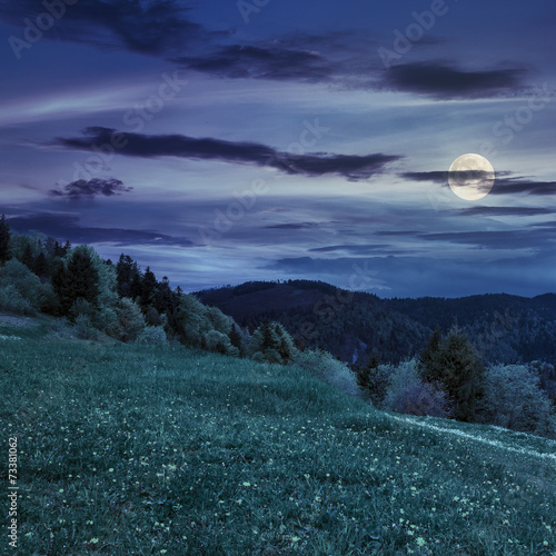 trees near valley in mountains at night