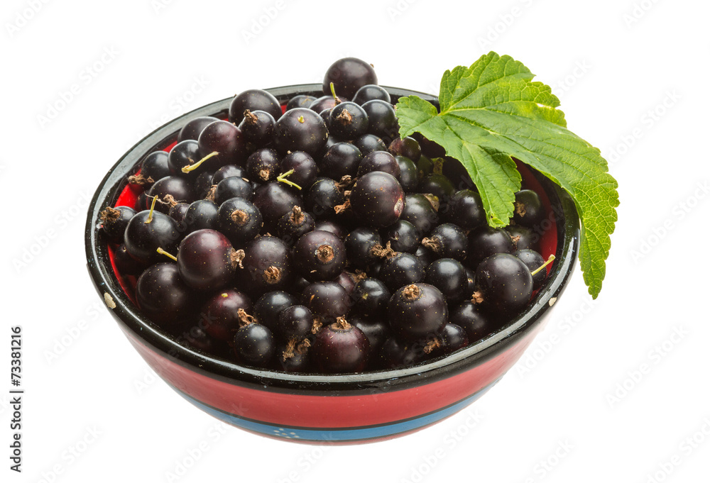 Black currant Black currant