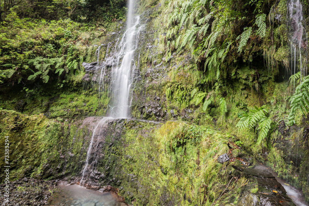 Waterfall in the Levada of Caldeirao Verde, Madeira (Portugal) Waterfall in the Levada of Caldeirao Verde, Madeira (Portugal)