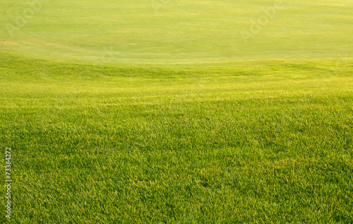 Real Putting Green