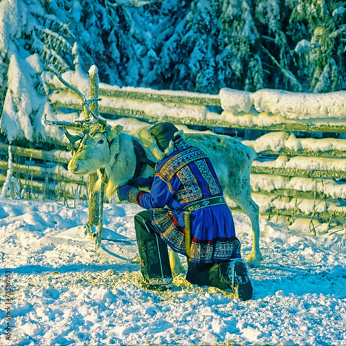 Quadro em tela White reindeer with herder in winter lapland