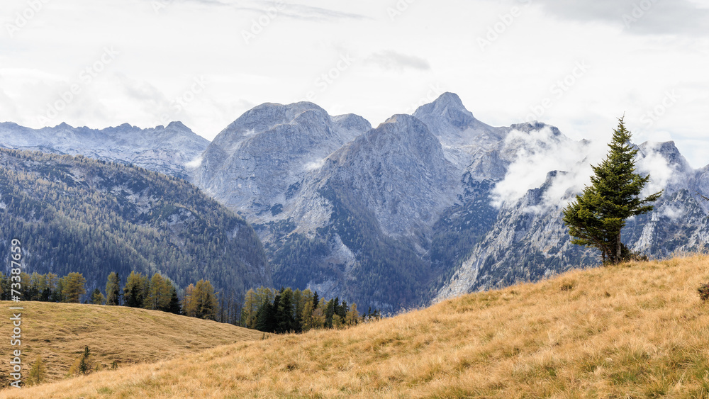 Berchtesgaden Mountains