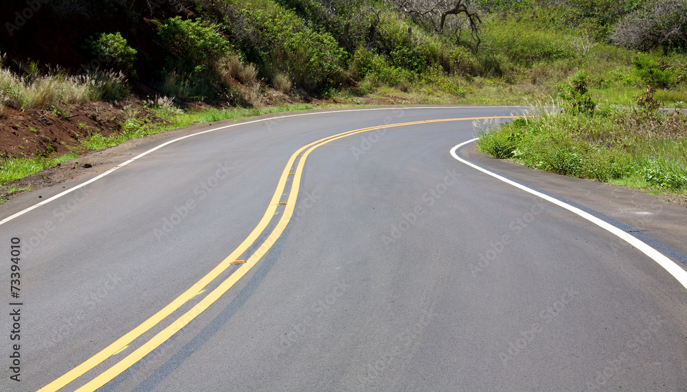 Fototapeta premium Winding highway along the Maui coastline