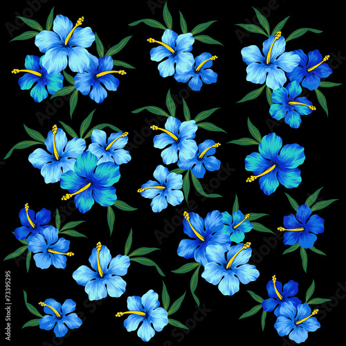 ハイビスカスのイラスト