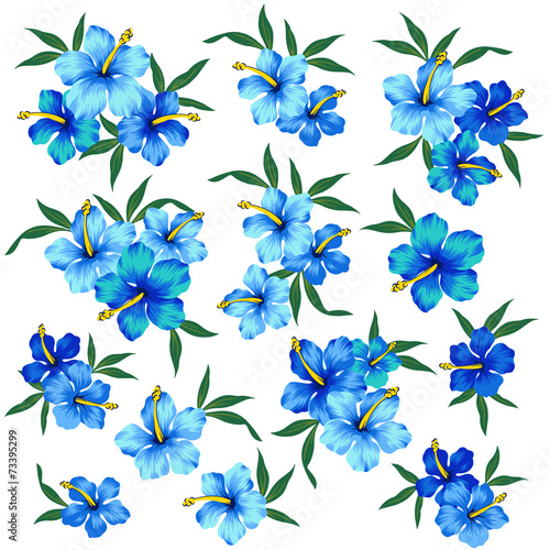 ハイビスカスのイラスト