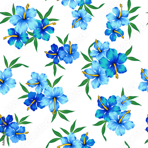 ハイビスカスのパターン