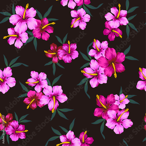 ハイビスカスのパターン