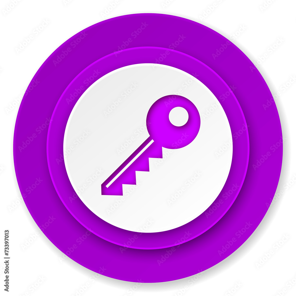 key icon, violet button key icon, violet button