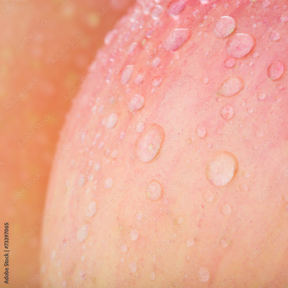apple fuji fruit with water drops apple fuji fruit with water drops