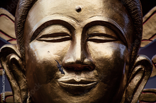 Геккон целует Будду