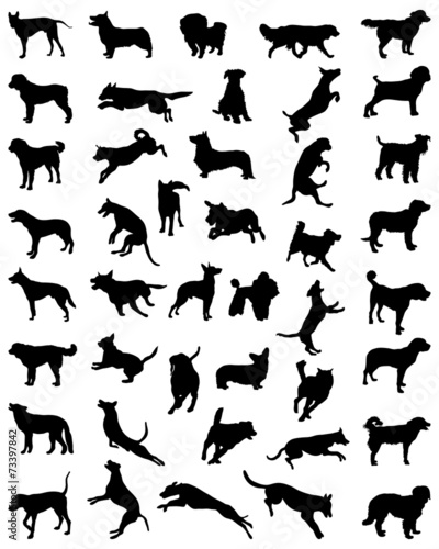 Different black silhouettes of dogs 2, vector