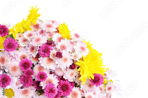 Fototapeta Naklejka Na Ścianę i Meble -  Beautiful flowers isolated on white