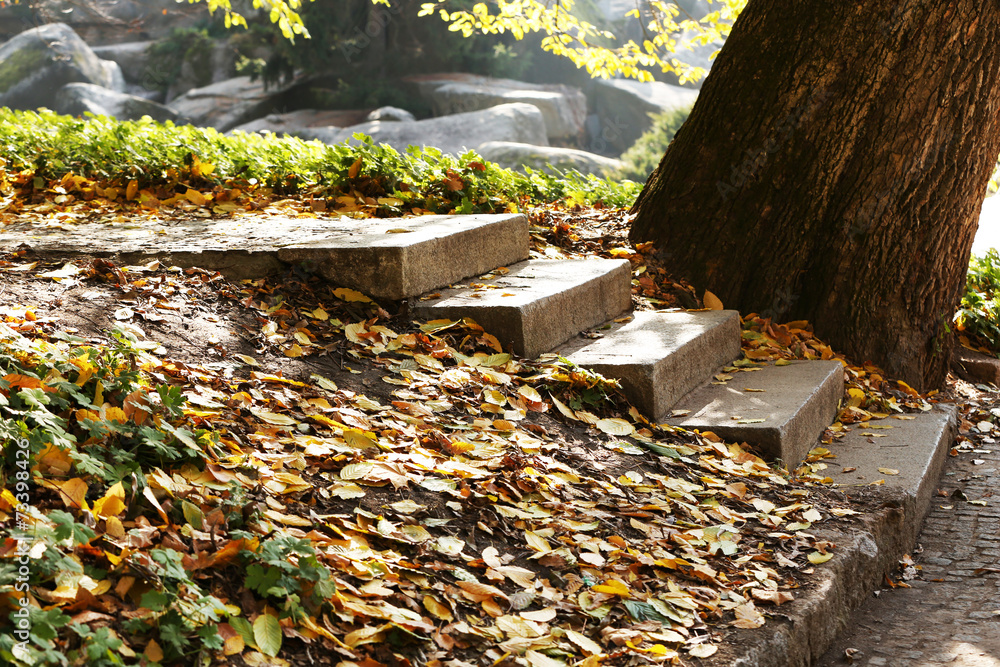 Stone steps in autumn park