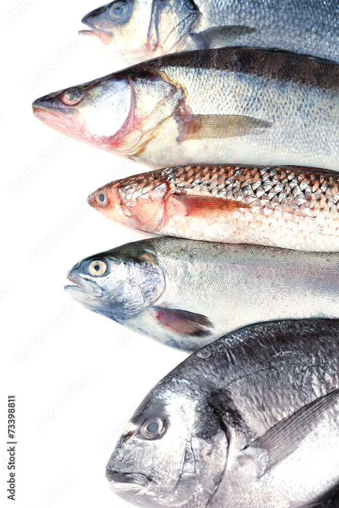 Fresh fish isolated on white Fresh fish isolated on white