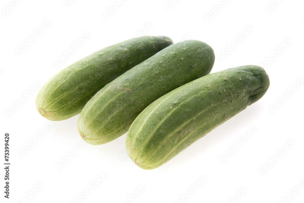 cucumber green vegetable isolated on white background cucumber green vegetable isolated on white background