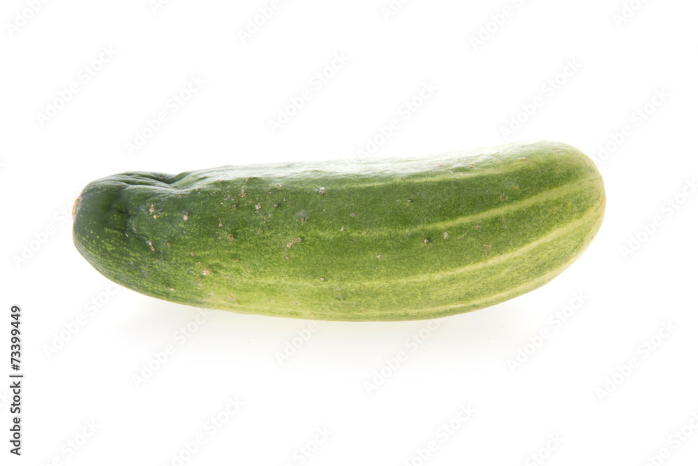 cucumber green vegetable isolated on white background cucumber green vegetable isolated on white background