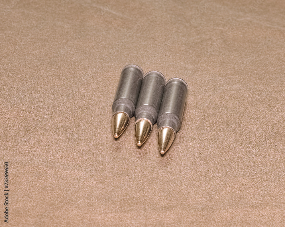 The laying cartriges 308 Winchester caliber The laying cartriges 308 Winchester caliber