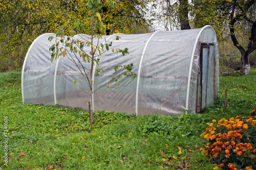 Fototapeta plastic greenhouse hothouse in autumn farm garden