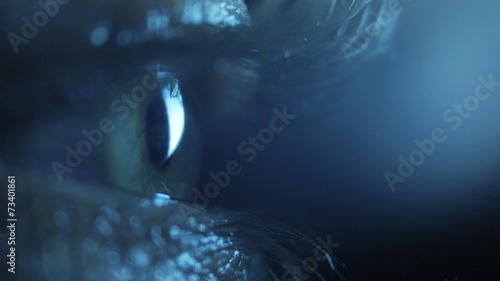 Pupil in the dark, close up