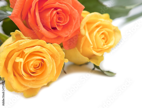 roses fleurs jaune et orange
