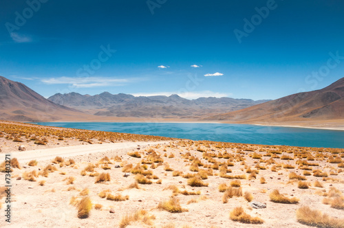 Miscanti lagoon in San Pedro de Atacama, Chile