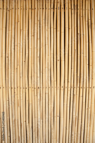 wall bamboo