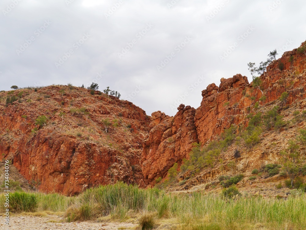 The Glen Helen gorge in the West mcdonnell ranges in Australia