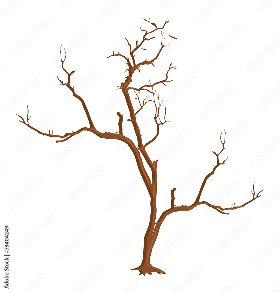 Fototapeta premium Dry Dead Tree Shape Vector