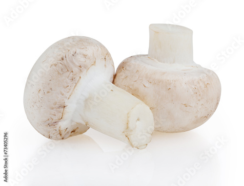 Mushrooms isolated on white background with clipping path