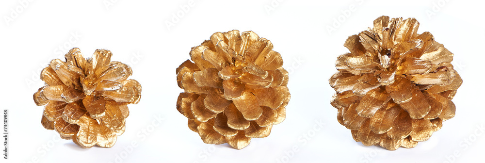 Obraz premium Gold plated pine cones macro isolated