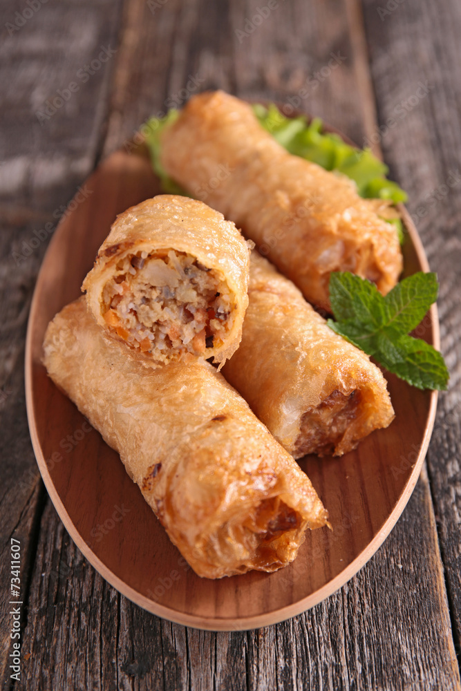 spring roll spring roll